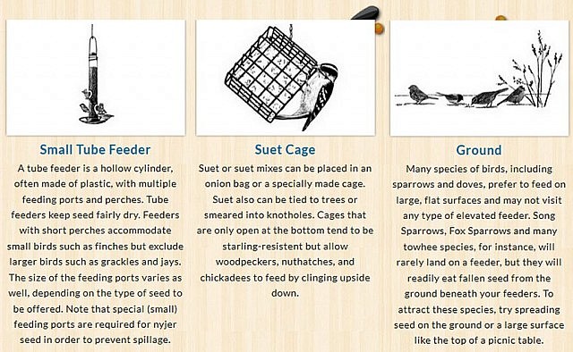 Bird feeders are not "one size fits all". Different species are attracted to different designs. Find out more about feeder types by visiting www.feederwatch.org. (Graphic: Cornell University)