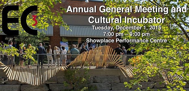 The Electric City Culture Council invites you to their second Annual General Meeting on December 1 (image courtesy of EC3)