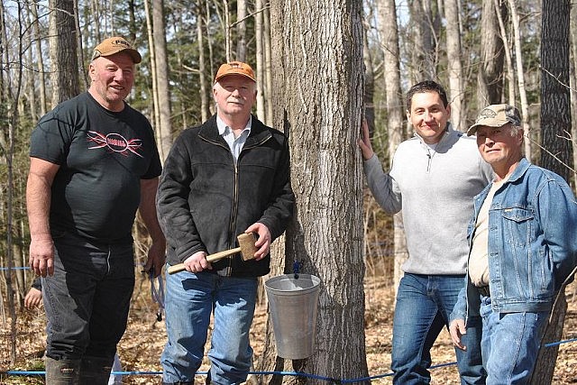 Tapping the first tree Harlaine Maple Products on Sunday, March 13 in preparation for the Sunderland Maple Syrup Festival, which takes place on April 2 and 3 (photo: Susan Wright / Facebook)
