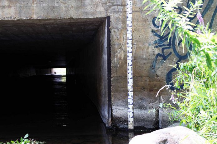 The water level indicator at the stream monitoring station site in Jackson Creek in downtown Peterborough. With a Level 2 low water condition, residents are asked to voluntarily reduce their non-essential water use by 20% (photo: Karen Halley, GreenUp)