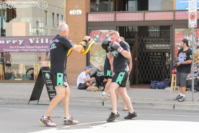 A martial arts demonstration at last year's Peterborough Pulse. There will be even more demonstrations to see and activities to do this year, including the latest craze: axe throwing  (photo: Linda McIlwain / kawarthaNOW)