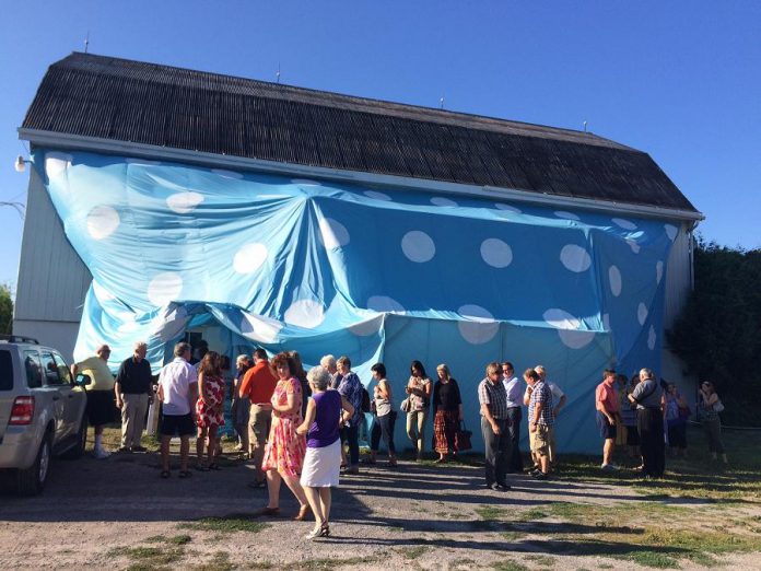 To promote its latest production, Globus Theatre unveiled the world's largest pair of underwear (photo courtesy of Eva Fisher)