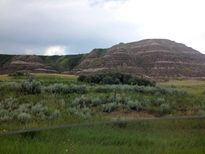 A hill in the Badlands near Drumheller (photo: Josh Fewings)