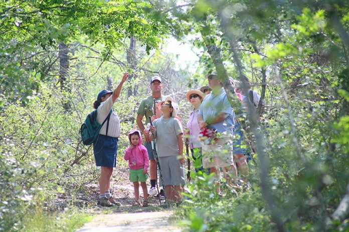 Taking a walk through the woods at Sandbanks Provincial Park (photo: Ontario Parks)