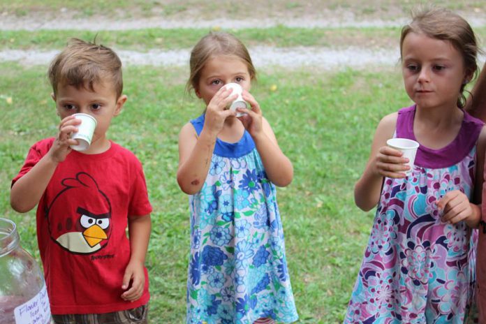 Children enjoy their homemade flavoured water at GreenUP Ecology Park Family Night; kids really enjoy the fruity flavours of Rosehips and Hibiscus flowers and will also benefit from the health benefits of vitamin C that come along with it.