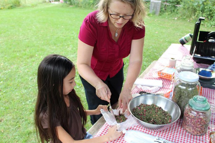 Marianne Beacon from Elderberry Herbals helps an attendee of GreenUP Ecology Park Family Night assemble a bag from dried Hibiscus, Rose hips, and Red Clover tied in cheesecloth in order to make naturally flavoured water. Healthy Kids Community Challenge Peterborough has provided funding to help families and kids to make healthier, unsweetened choices when selecting beverages to hydrate.