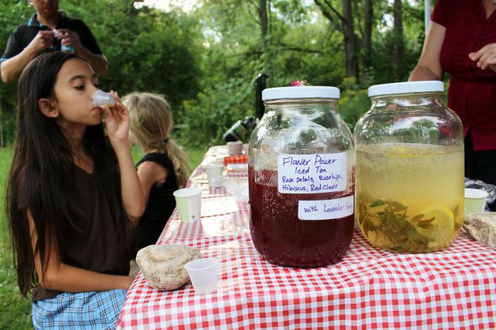 An attendee of GreenUP Ecology Park Family Night enjoys "Flower Power" flavoured water  made from Rose petals, Roseships, Hibiscus and Red Clover.