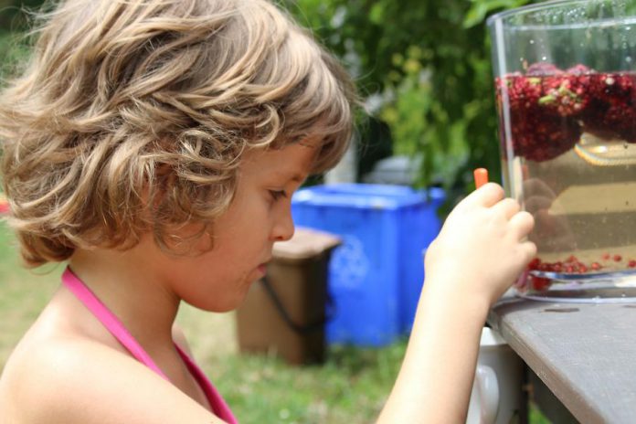 A young camper at GreenUP Ecology Park enjoys homemade sumac-flavoured water which is naturally sweet and high in vitamin C.
