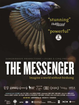 The October 2 screening of "The Messenger" is a a fundraiser for a migratory bird monitoring project in the constructed wetland being developed at the Frost campus this fall