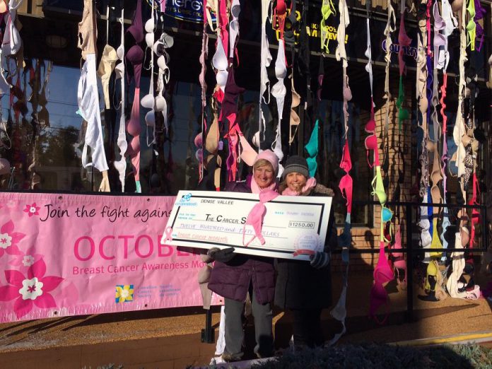 Denise Vallee and Associates raised $1,250 in donations and collected 133 bras  (photo: Eva Fisher)