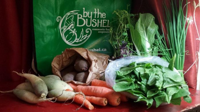 By the Bushel is encouraging people to register early for their winter basket program. (Photo: By the Bushel)