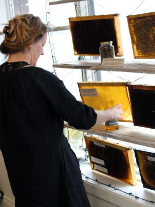 GreenUP's resident beekeeper Marcy Adzich displays frames from the collapsed hive from GreenUP Ecology Park. The public is invited to visit the display at the GreenUP Store to view first hand the impacts of colony collapse, and to learn about honeybee ecology and behaviour and the importance of pollinators in Peterborough.  (Photo: Karen Halley, GreenUP)