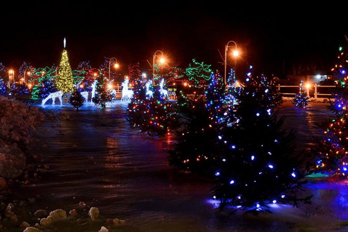 Some of the 100,000 Christmas lights on display during Cobourg's annual Christmas Magic event (photo: Cobourg Tourism)