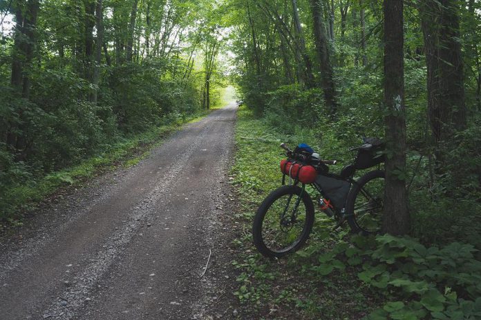 The Victoria Rail Trail is an 85-kilometre trail with corridors linking Kinmount to Bethany through Lindsay. (Photo: Miles Arbour)