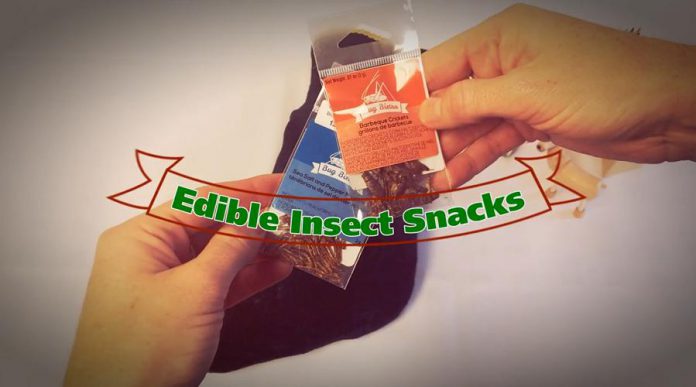 Edible insect snacks
