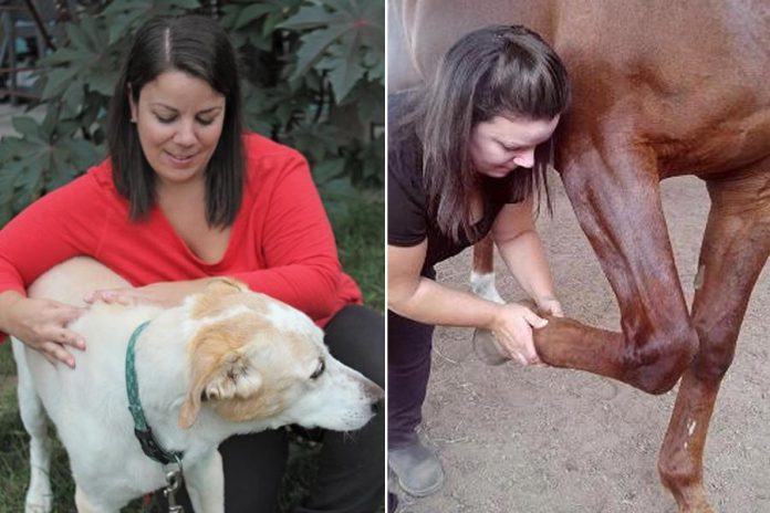 Dr. Rachel Bentley provides chiropractic services to animals (photos: Animalignment Animal Chiropractic)