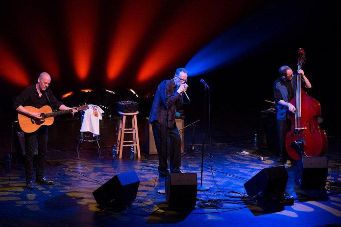 Carlos del Junco and the Blues Mongrels Quartet in concert (photo: Carlos del Junco / Facebook)