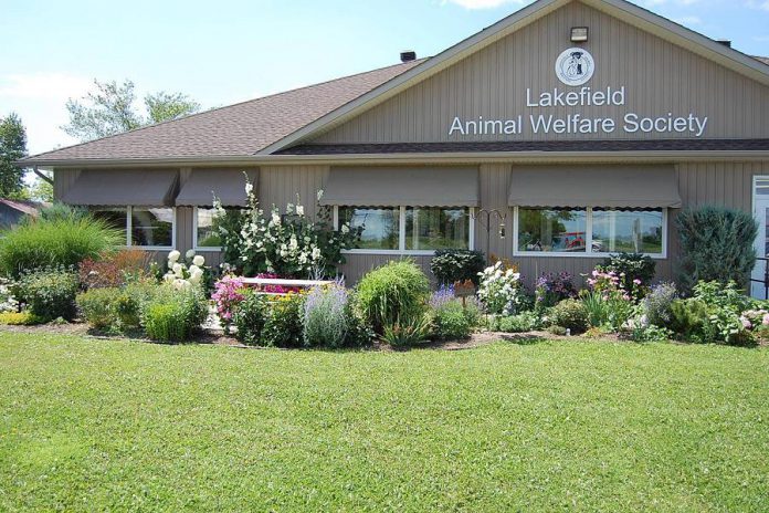 Lakefield Animal Welfare Society (photo: LAWS / Facebook)