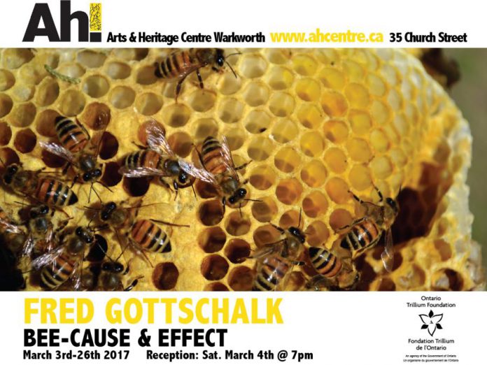 Fred Gottschalk's exhibition "Bee-Cause and Effect" runs until March 26 (graphic courtesy of Arts and Heritage Centre)