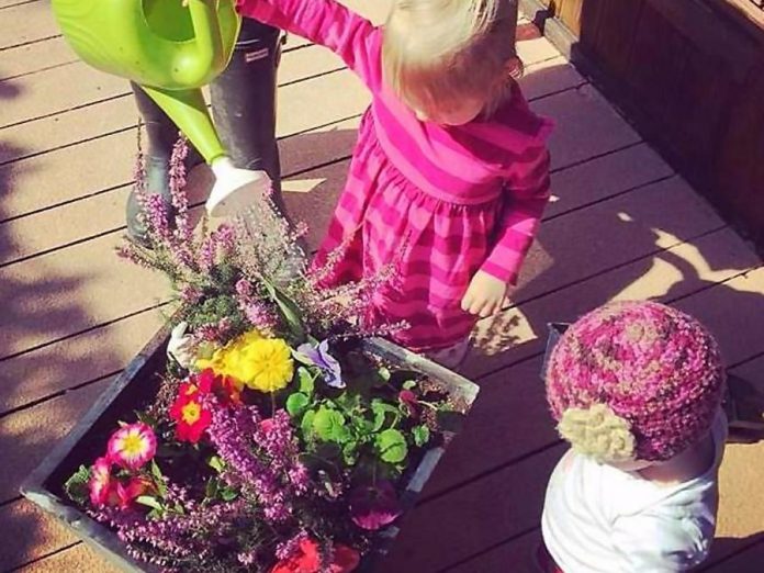 Local greenhouses are open for the spring season