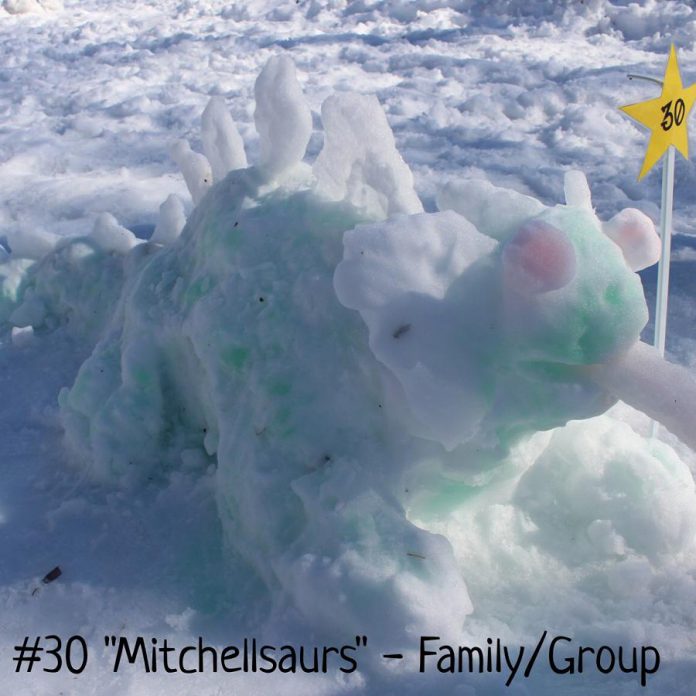 Michelle Mitchell and family won in the Family/Group category for "Mitchellsaurus".