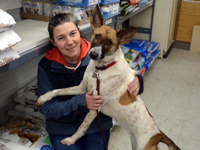 Michelle Horner of Millbrook Farm and Pet Supplies with her dog Jersey. The store sells pet food, toys, and farm equipment, including golf carts. All of the plants sold at the store are potted in organic soil. (Photo: Eva Fisher / kawarthaNOW)