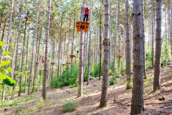 Treetop Trekking Ganaraska opens for the season on April 1 and has a special try-it session available for Maple Syrup Day attendees (photo: Treetop Trekking Ganaraska)