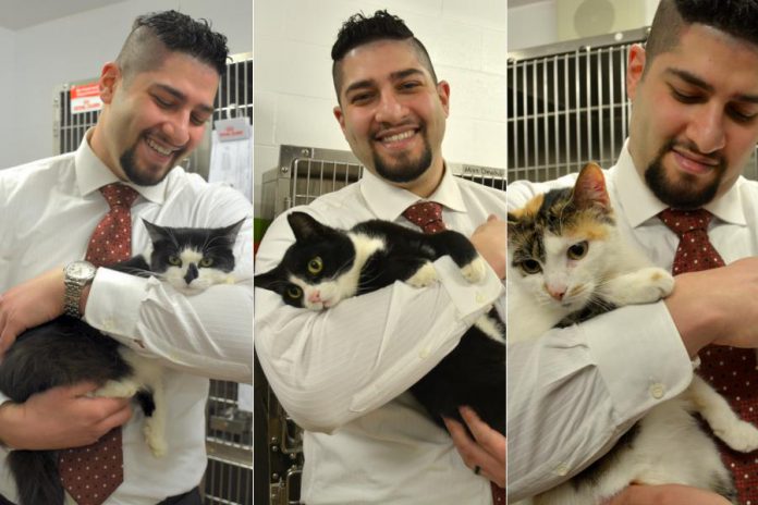 An animal lover who has adopted several cats from the Peterborough Humane Society, Waleed is helping the charitable organization facilitate donations and save money by donating a free ecommerce website. Here he's pictured with Molly (2 years old), Puss (3), and Beth, whose age is unknown. All three cats are available for adoption from the Peterborough Humane Society. (Photo: Eva Fisher)