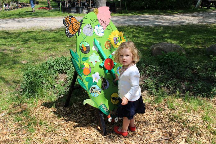 The Children's Garden and cedar maze are are areas of wonder and natural discovery for kids of all ages. This Sunday form noon to 4 p.m., the gardens officially open and will be set up with puppets, animal costumes, games, and interactive displays. (Photo: Karen Halley)