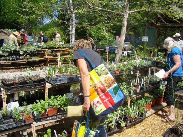 The GreenUP Ecology Park Annual Plant Sale runs from noon to 4 p.m. on Sunday, May 21st.