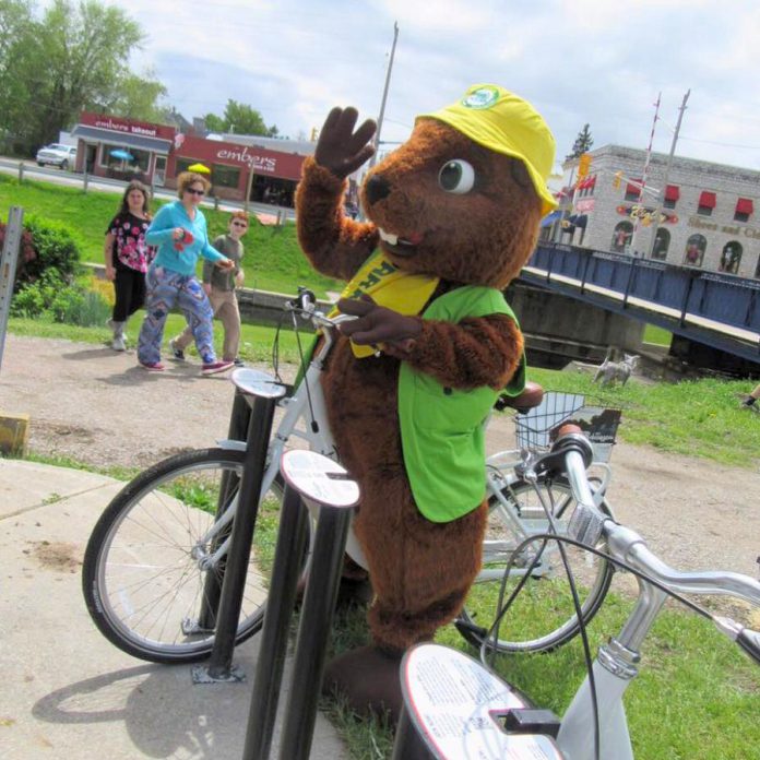 Parka checking out Bobcaygeon's new bike share program, offered by Impact 32. The bikes are available for residents and visitors, including those who arrive via the Trent-Severn Waterway system. (Photo: Bonnie Jane Harris)