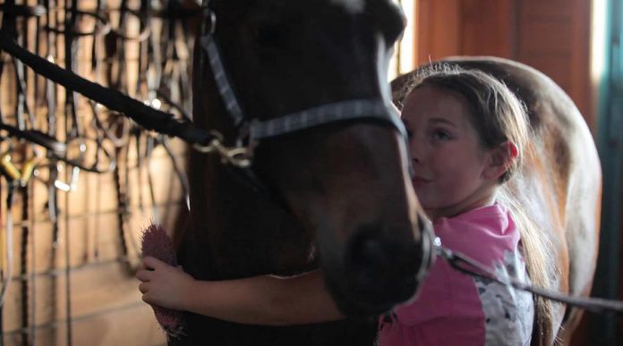 Interacting with horses is a great way for kids to become more assertive. (Photo: Sky Haven Equestrian)