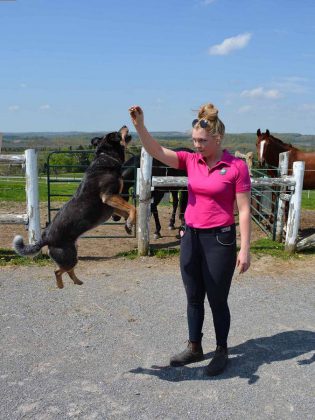 Erica is a skilled animal trainer, training the Sky Haven horses and dog Khaleesi. (Photo: Eva Fisher / kawarthaNOW)