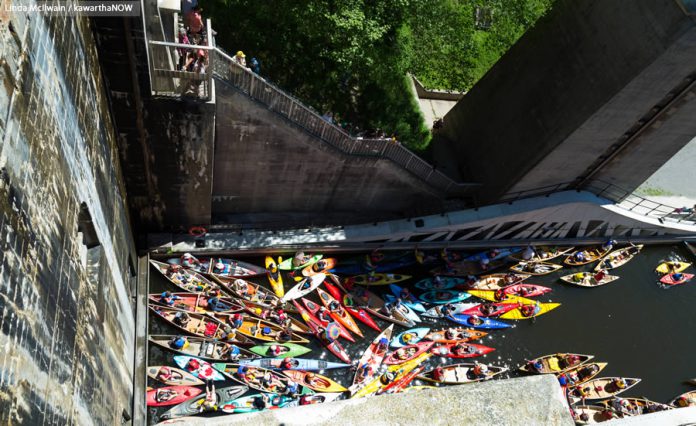 Canoes and kayaks getting organized in the lower chamber. (Photo: Linda McIlwain / kawarthaNOW)