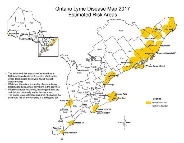 Risk areas for Lyme disease in the Kawarthas include parts of Northumberland and Hastings counties. (Map: Public Health Ontario)