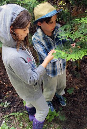 Taking precautions and proper preventions such as dressing appropriately, can help us to be 'tick smart' while also allowing our children to enjoy the outdoors and all the benefits that free play provides. (Photo courtesy of GreenUP)