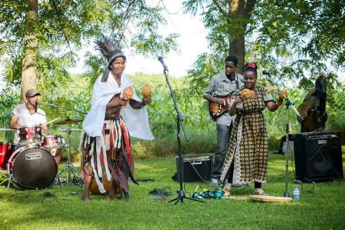 ZimArt's 18th annual exhibition runs from August 5 to September 3, with the opening and closing parties featuring live Zimbabwean music by Nhapatipi. (Photo: ZimArt's Rice Lake Gallery)