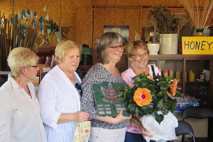 Brenda Ibey (second from right) receiving the Hazel Wilson Award for Meritorious Service from the Lakefield Horticulture Society. (Photo: Brenda Ibey)