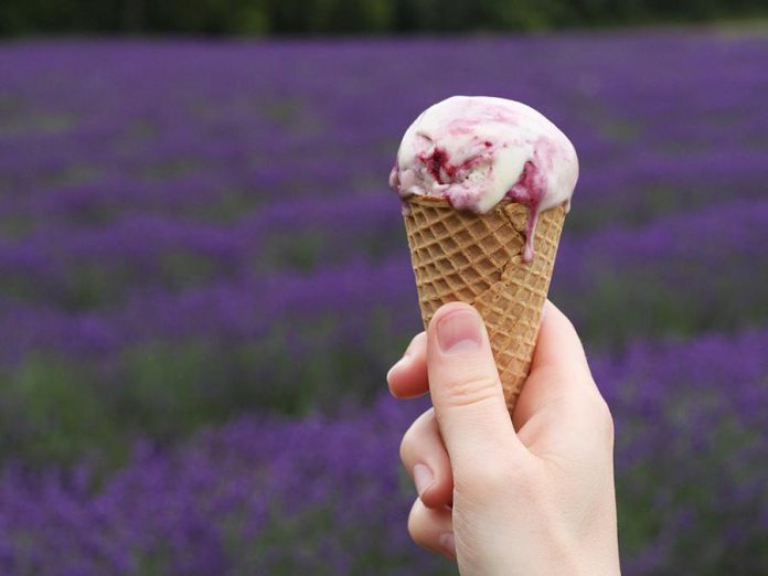 Sweet Spirits and Laveanne have teamed up to produce a new lavender ice cream. Pictured is the lavender blackberry ripple. (Photo: Hatch Creative)
