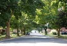 One of the beautiful tree-lined streets of Peterborough (photo: Pat Trudeau)
