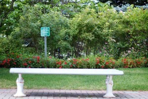 Is the City of Peterborough really as green as it thinks it is? (photo: Pat Trudeau)