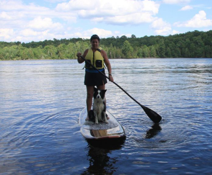 Jeannine Taylor SUPing with her border collie Tess (photo: kawarthaNOW)