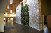 A living wall adorns the lobby of Highland Park Funeral Centre's beautiful, modern building (photo: Michael Hurcomb)