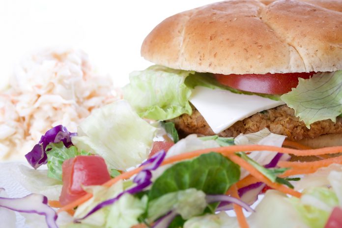 A high-fibre, healthy and tasty veggie bean burger