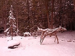 Scaled to pony-size driftwood horses frolic in David's front yard