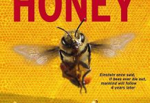 More Than Honey is one of ReFrame Film Festival's 2014 feature films. Showcasing the demise of the worldwide bee population, it explores the world of bees and what is being done to slow this impending epidemic.