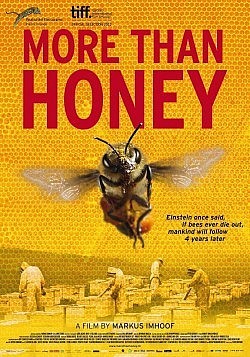 More Than Honey is one of ReFrame Film Festival's 2014 feature films. Showcasing the demise of the worldwide bee population, it explores the world of bees and what is being done to slow this impending epidemic.