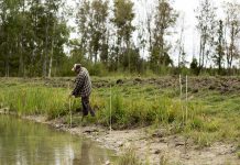 Bob Irvine of Rocky Lane Farm in Lakefield is seen working on a pollinator planting project last fall with that was undertaken in partnership with the Kawartha Farm Stewardship Collaborative. The project saw pollinator plants added to surround a pond installation. (photo: Matt Higgs)