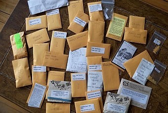 With Seedy Sunday approaching on March 9th, now is time to prepare and package your seeds. The Peterborough Community Garden Network is offering assistance to new seed savers with a Seed Packing Party on February 26th. (photo: Peterborough Community Garden Network)