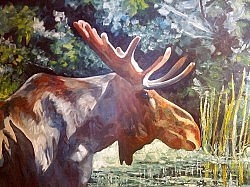 Ron's style in this oil painting is free and loose as he describes, but still captures this moose's presence wonderfully (photo: Michael Fazackerley)